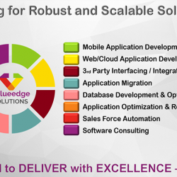 Robust Solutions, Valueedge Solutions