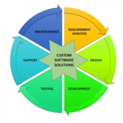 custom-software-solution-ves